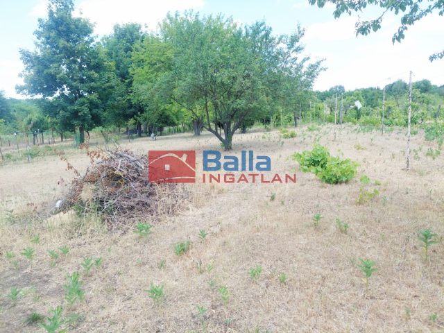 Eladó 2081 m²-estelek Jászberény, Neszür 7 dűlő: 3'700'000 Ft