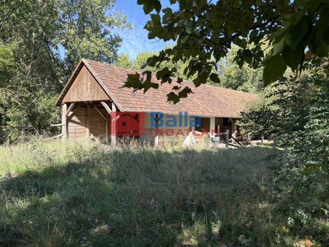 Eladó 45000 m²-esmezőgazdasági ingatlan Kiskunlacháza, Dunai út: 63'000'000 Ft