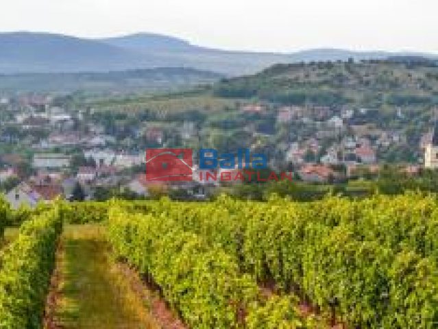 Eladó 97 m²-escsaládi ház Mád, . utca: 35'000'000 Ft