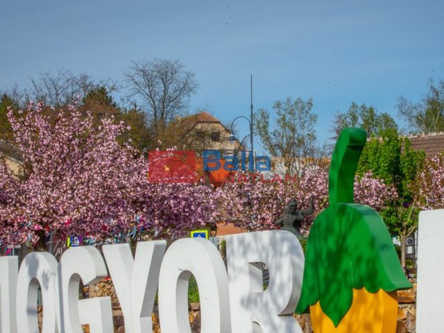 Eladó 1439 m²-estelek Mogyoród, Pacsirta utca: 18'000'000 Ft