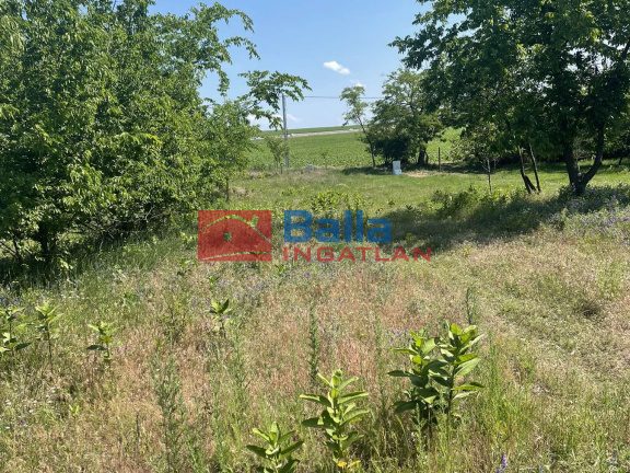 Eladó 1579 m²-estelek Monor, Természet központú dűlő: 7'500'000 Ft