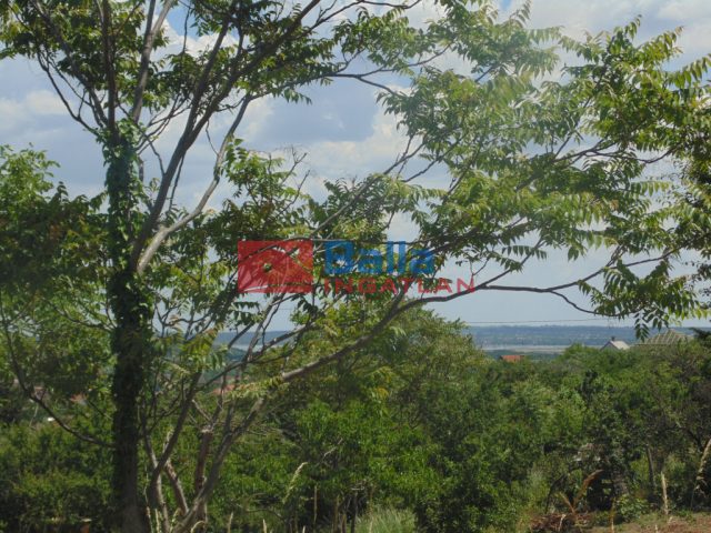 Eladó 1432 m²-estelek Pákozd, Szegfű utca: 12'000'000 Ft