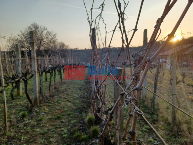 Eladó 12 m²-esüdülő Pázmánd (Pázmánd) , Bágyomi út: 9'000'000 Ft