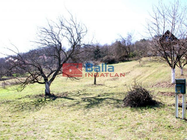 Eladó 1490 m²-estelek Pázmánd, Szőlőhegy utca: 7'499'000 Ft