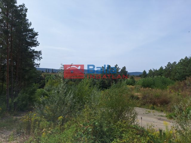 Eladó 800 m²-estelek Pilis, Pilisborosjenő utca: 44'900'000 Ft