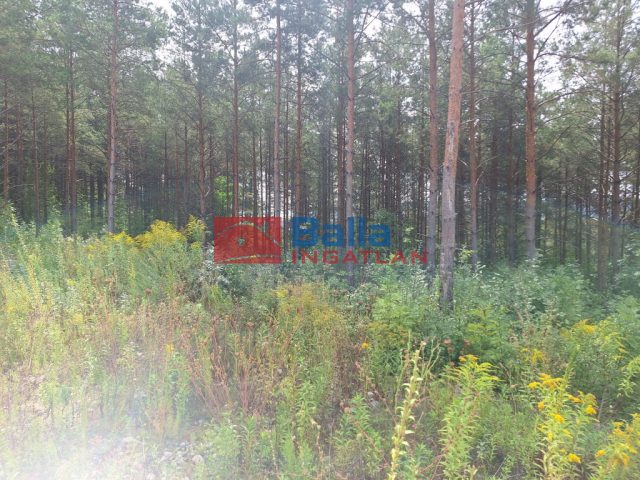 Eladó 800 m²-estelek Pilis, Pilisborosjenő utca: 44'900'000 Ft