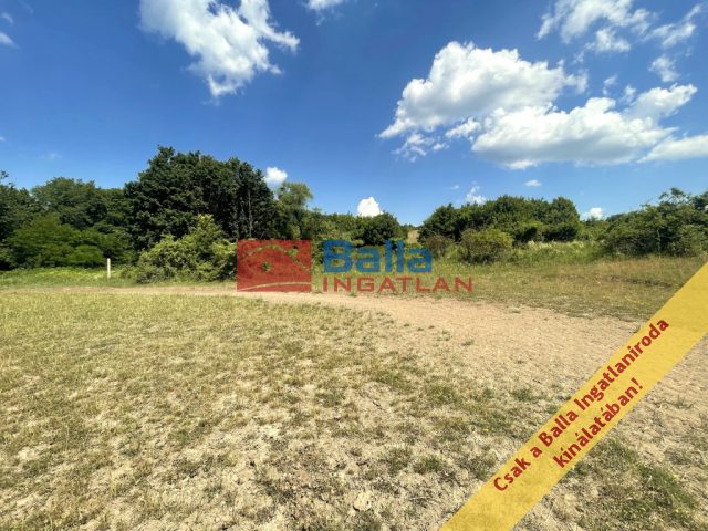 Eladó 1220 m²-esmezőgazdasági ingatlan Pilis, Pilisszentlászló utca: 13'500'000 Ft