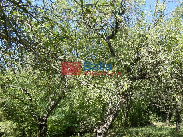 Eladó 860 m²-estelek Pilisborosjenő, Pilisborosjenő: 22'000'000 Ft