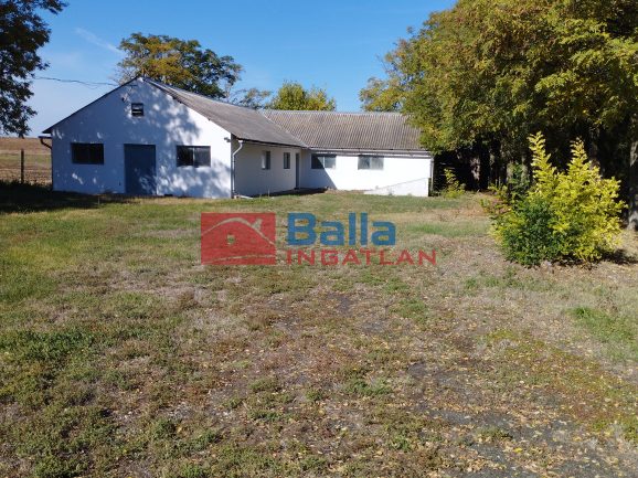 Eladó 5899 m²-esmezőgazdasági ingatlan Pincehely, Fő út közeli utca: 40'000'000 Ft