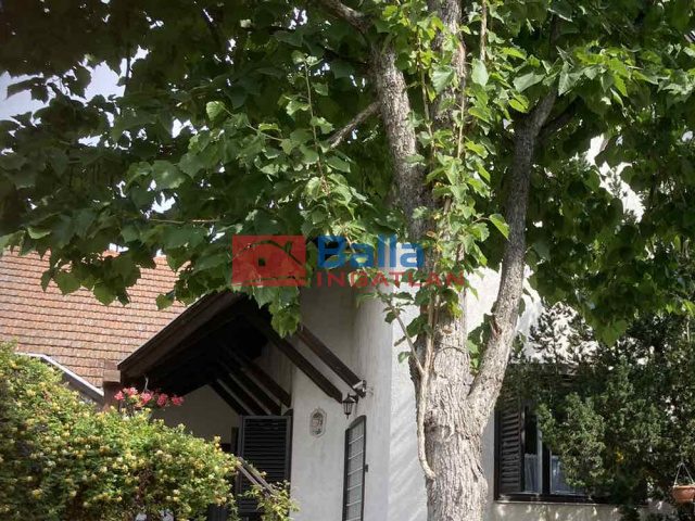 Eladó 240 m²-escsaládi ház Ráckeve, Duna közeli utca: 110'000'000 Ft