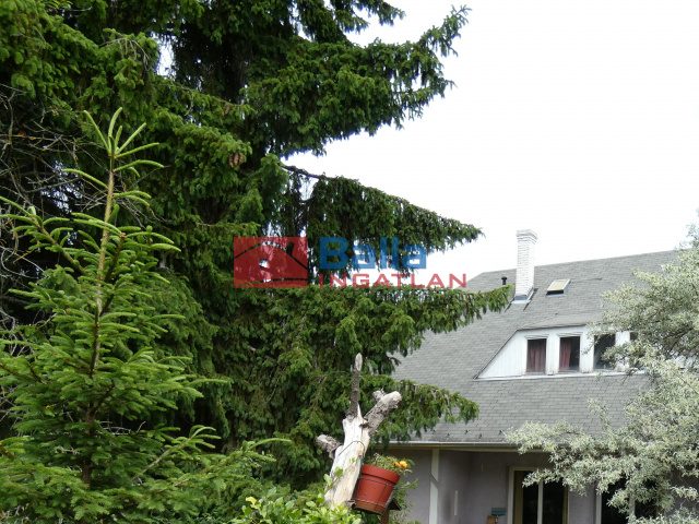 Eladó 361 m²-escsaládi ház Solymár, Hutweide: 215'000'000 Ft