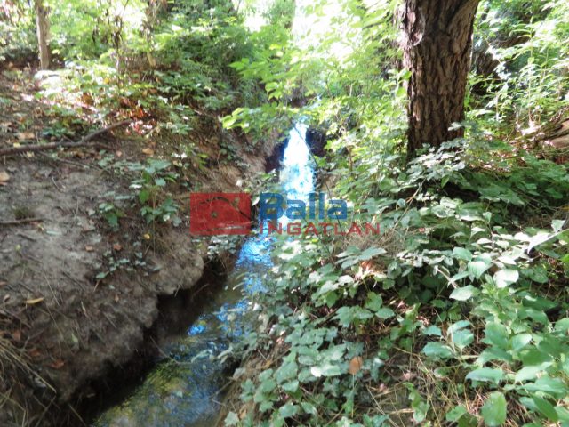 Eladó 3178 m²-esmezőgazdasági ingatlan Szentantalfa, Külterület: 16'800'000 Ft