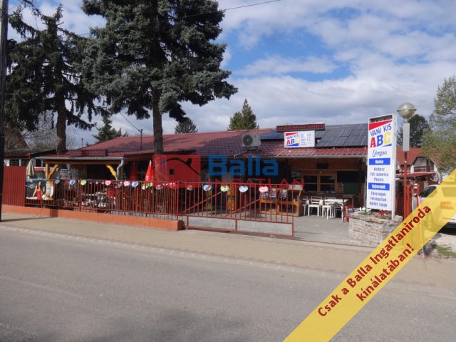 Eladó 450 m²-esüzlethelyiség utcai bejárattal Tiszakécske, Fürdő utca: 75'000'000 Ft