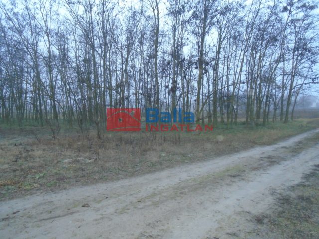 Eladó 2527 m²-estelek Tiszakécske, Holt-Tiszánoz közel utca: 6'500'000 Ft