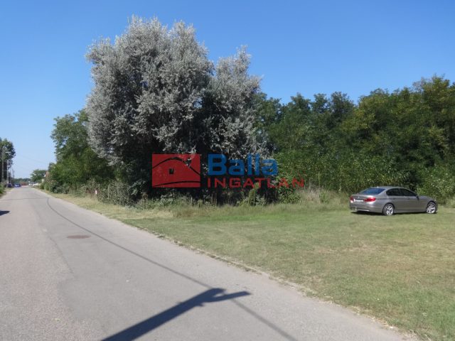 Eladó 8000 m²-estelek Tiszakécske (Kerekdomb) , Kerekdomb út: 40'000'000 Ft