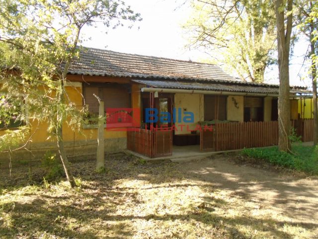 Eladó 18268 m²-esmezőgazdasági ingatlan Tiszakécske, Pereghalom dűlő: 15'900'000 Ft