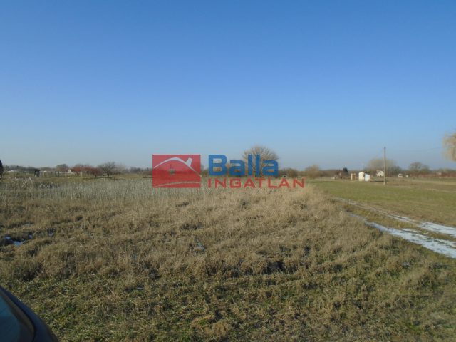 Eladó 1769 m²-esmezőgazdasági ingatlan Tiszakécske, Virághegy utca: 800'000 Ft