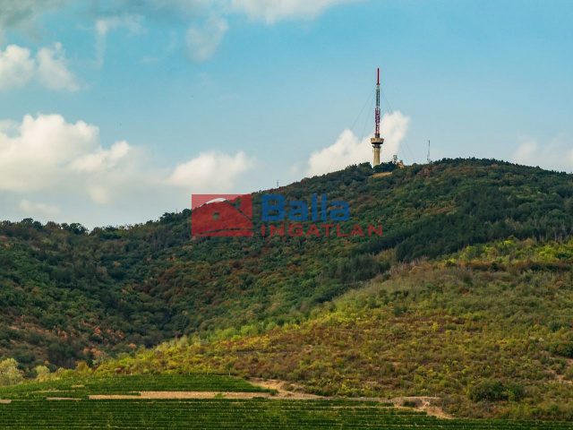 Eladó 45864 m²-estelek Tokaj, külterület: 62'000'000 Ft