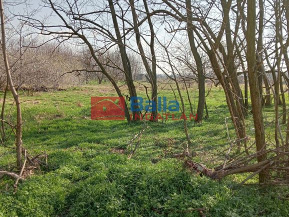 Eladó 8000 m²-estelek Tököl, hrsz034/61 utca: 99'000'000 Ft