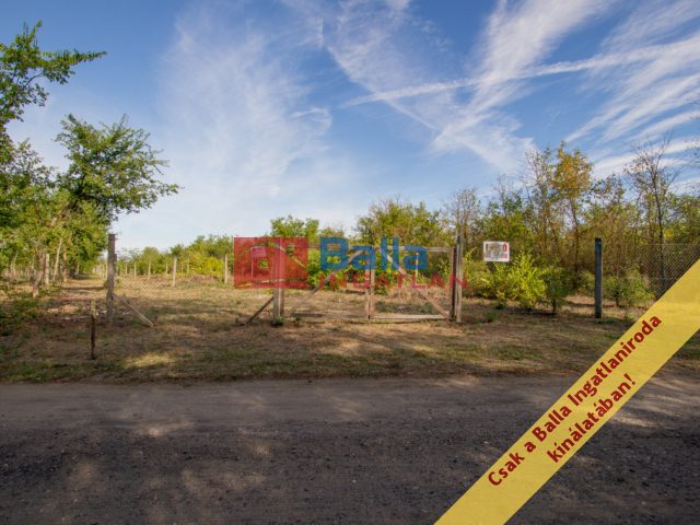 Eladó 5167 m²-esmezőgazdasági ingatlan Vác, Külterület: 15'500'000 Ft