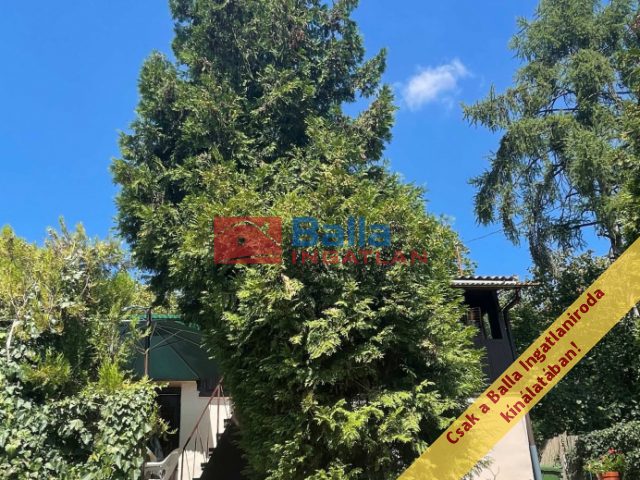 Eladó 49 m²-esüdülő Vác, Nyulas: 25'000'000 Ft