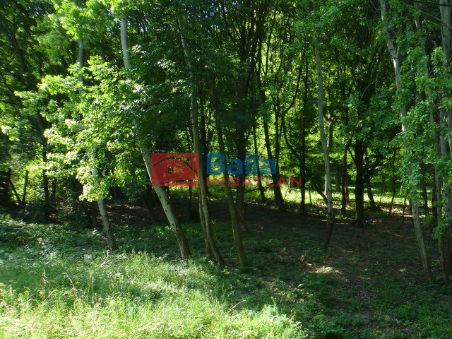 Eladó 1730 m²-estelek Visegrád, Gizella utca: 19'950'000 Ft