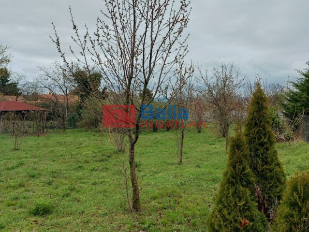 Eladó 1300 m²-estelek Zamárdi, Ófalu utca: 75'000'000 Ft